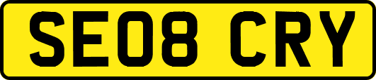 SE08CRY
