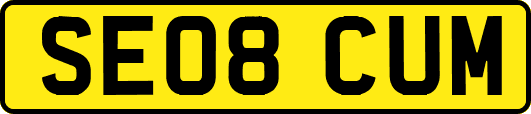 SE08CUM