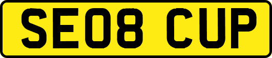 SE08CUP