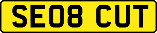 SE08CUT