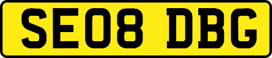 SE08DBG