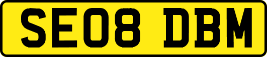 SE08DBM