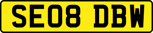 SE08DBW
