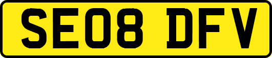 SE08DFV