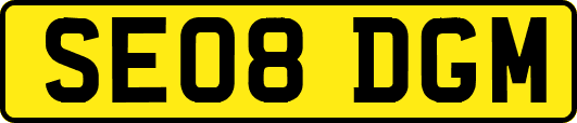 SE08DGM