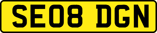SE08DGN
