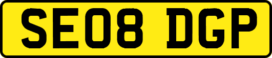 SE08DGP