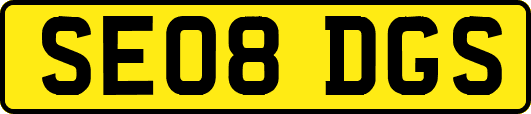 SE08DGS