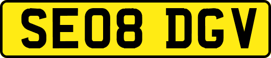 SE08DGV