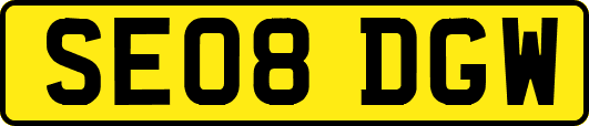 SE08DGW