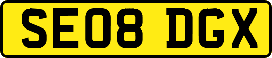 SE08DGX
