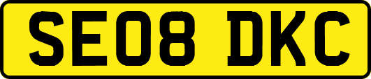 SE08DKC