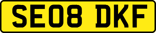 SE08DKF