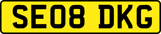 SE08DKG