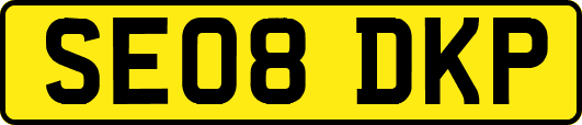 SE08DKP