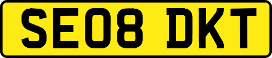 SE08DKT