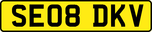 SE08DKV