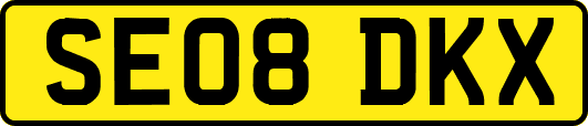 SE08DKX