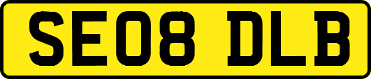 SE08DLB