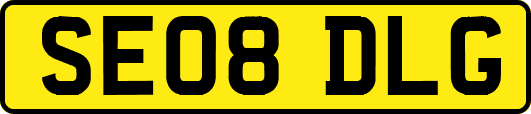 SE08DLG
