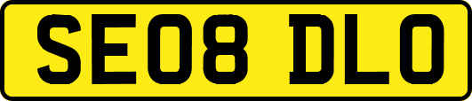 SE08DLO
