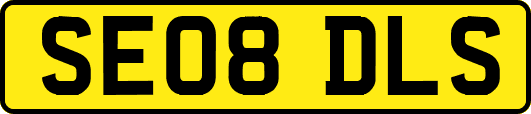 SE08DLS