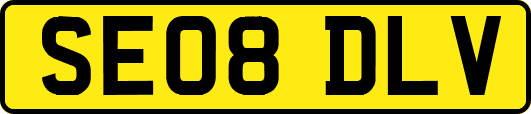SE08DLV