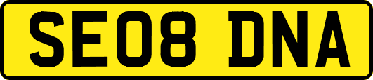SE08DNA