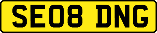 SE08DNG