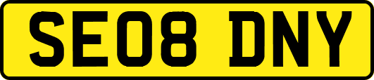 SE08DNY