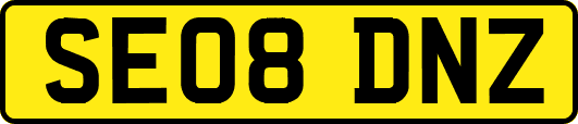 SE08DNZ