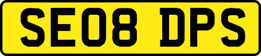 SE08DPS