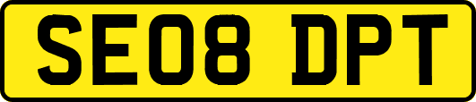 SE08DPT