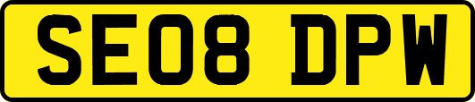 SE08DPW