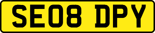 SE08DPY