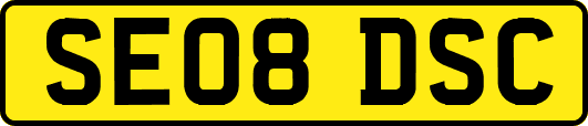 SE08DSC