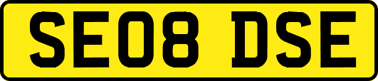 SE08DSE