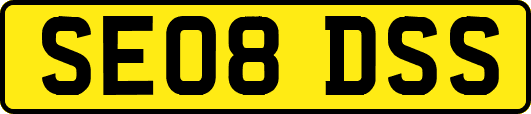 SE08DSS
