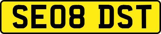 SE08DST