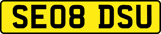 SE08DSU