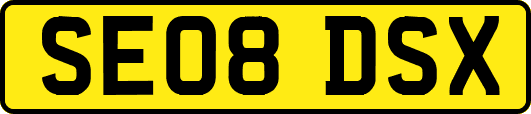 SE08DSX