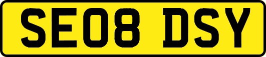 SE08DSY