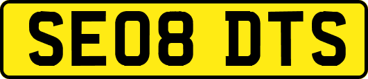 SE08DTS