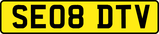 SE08DTV