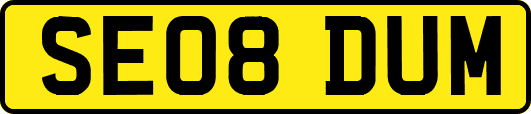 SE08DUM