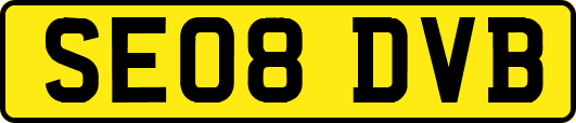 SE08DVB