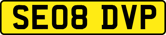 SE08DVP