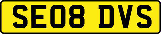 SE08DVS