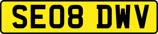 SE08DWV