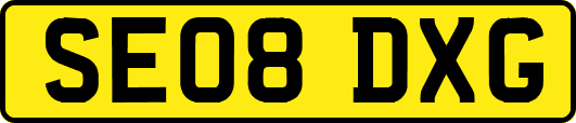 SE08DXG